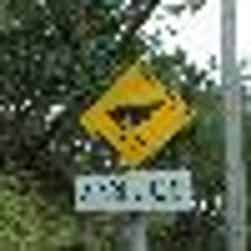 トリップアドバイザー提供