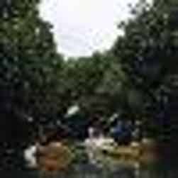 トリップアドバイザー提供