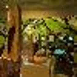 トリップアドバイザー提供