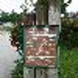 トリップアドバイザー提供