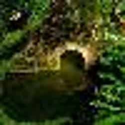 トリップアドバイザー提供