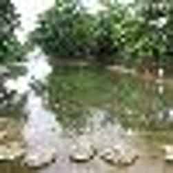 トリップアドバイザー提供