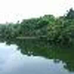 トリップアドバイザー提供