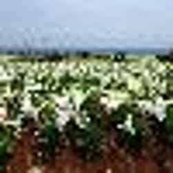 トリップアドバイザー提供