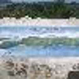 トリップアドバイザー提供