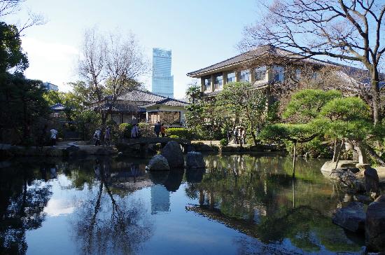 トリップアドバイザー提供