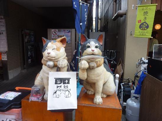 トリップアドバイザー提供