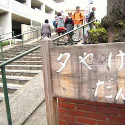 トリップアドバイザー提供