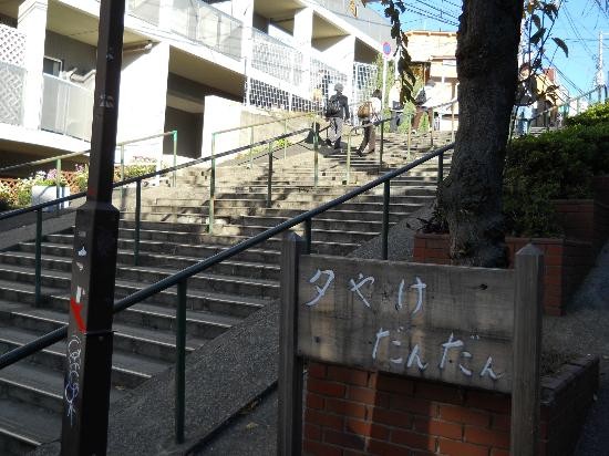 トリップアドバイザー提供