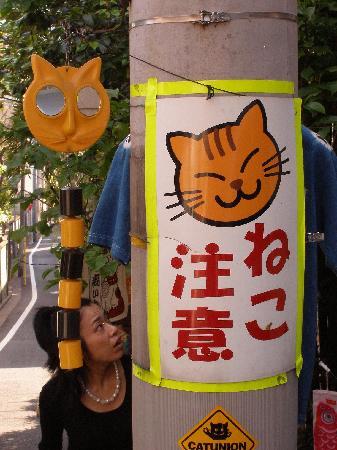 トリップアドバイザー提供