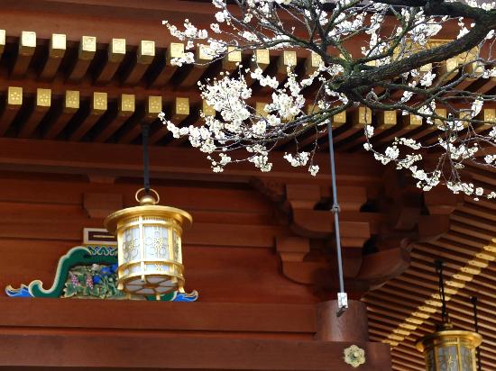 トリップアドバイザー提供