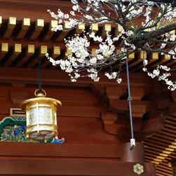 トリップアドバイザー提供