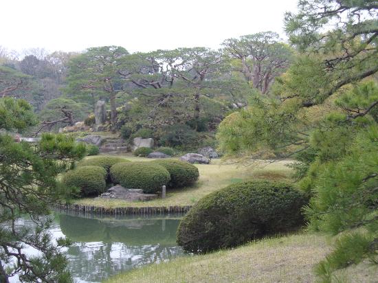 トリップアドバイザー提供