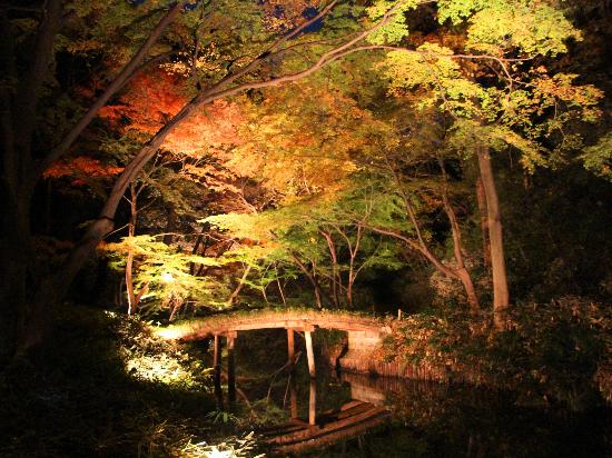 トリップアドバイザー提供