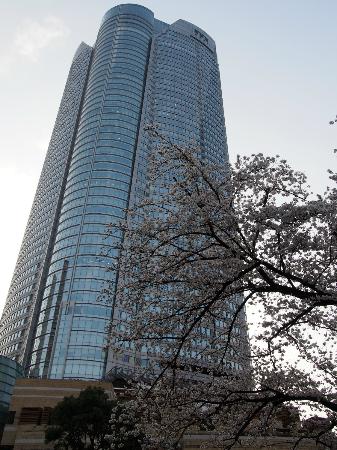 トリップアドバイザー提供