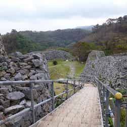 トリップアドバイザー提供