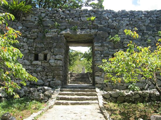 トリップアドバイザー提供