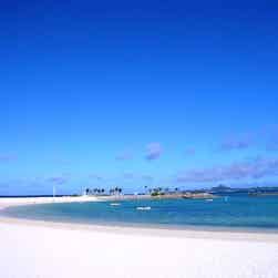 トリップアドバイザー提供