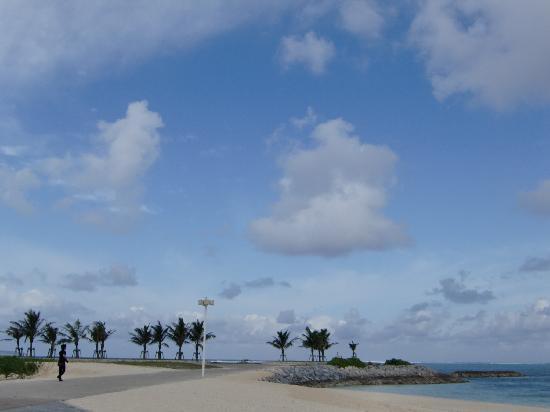 トリップアドバイザー提供