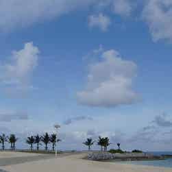 トリップアドバイザー提供