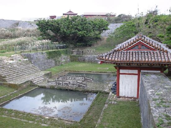 トリップアドバイザー提供