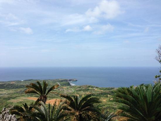 トリップアドバイザー提供