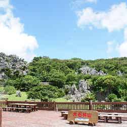 トリップアドバイザー提供