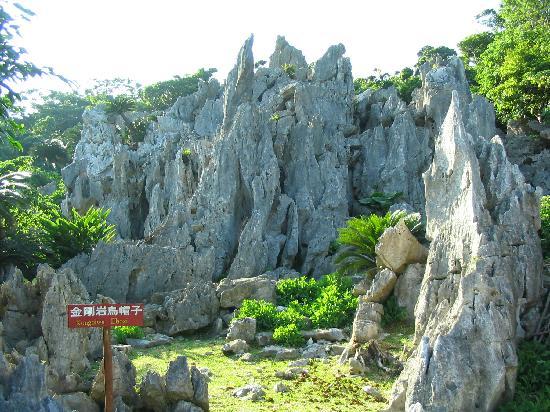 トリップアドバイザー提供