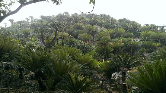 トリップアドバイザー提供