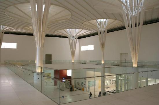 トリップアドバイザー提供