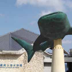 トリップアドバイザー提供