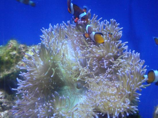 トリップアドバイザー提供