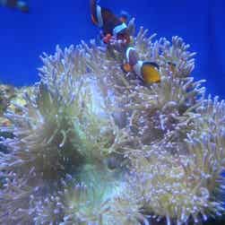 トリップアドバイザー提供