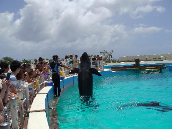 トリップアドバイザー提供