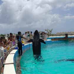 トリップアドバイザー提供