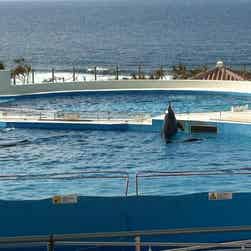 トリップアドバイザー提供