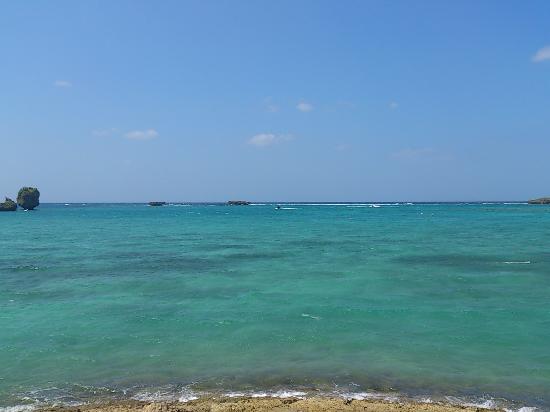 トリップアドバイザー提供