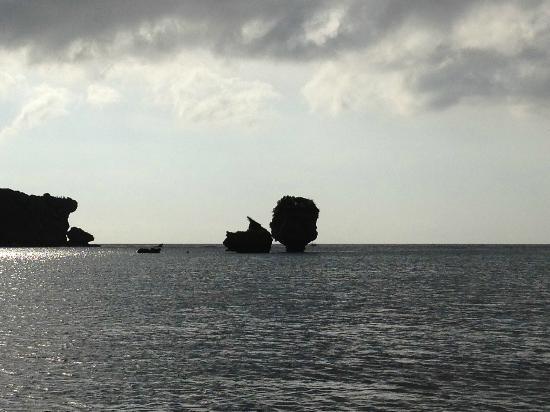 トリップアドバイザー提供