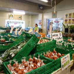 トリップアドバイザー