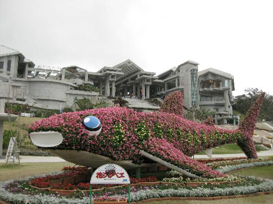 トリップアドバイザー提供