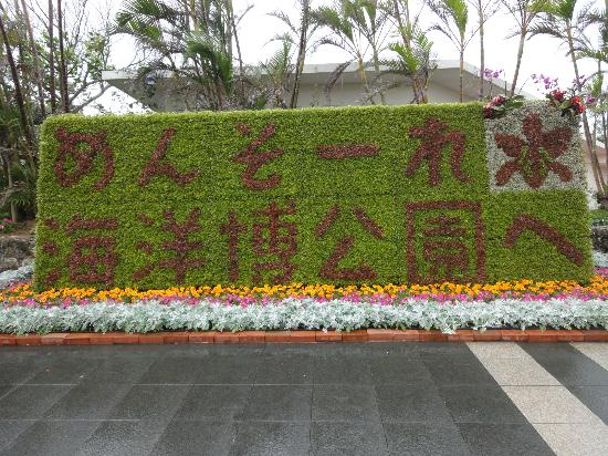 トリップアドバイザー提供