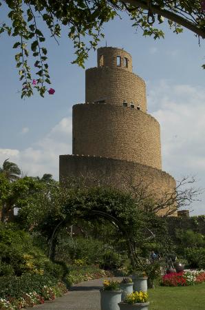 トリップアドバイザー提供