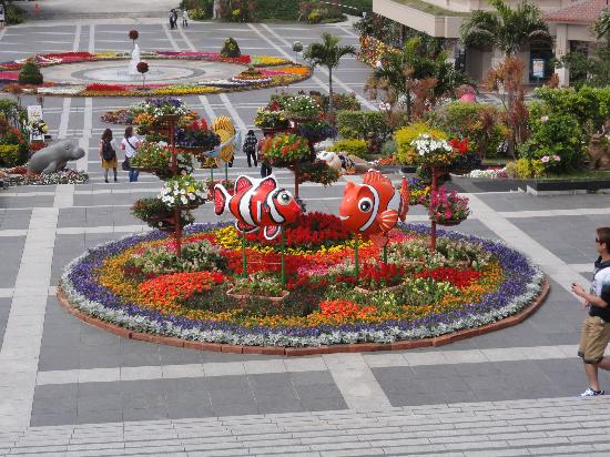 トリップアドバイザー提供