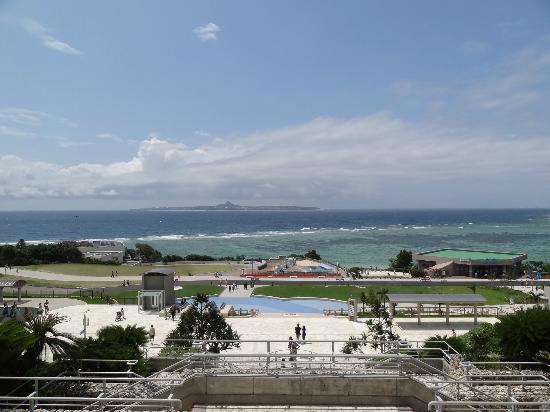 トリップアドバイザー提供