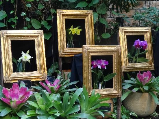 トリップアドバイザー提供