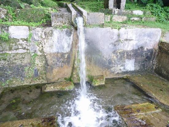 トリップアドバイザー提供