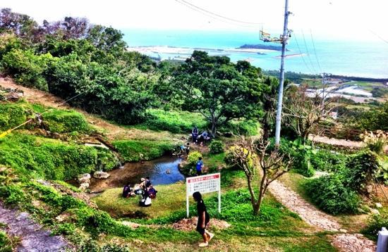 トリップアドバイザー提供