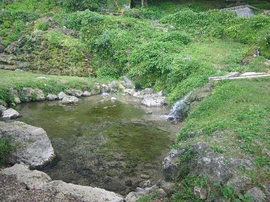 トリップアドバイザー提供