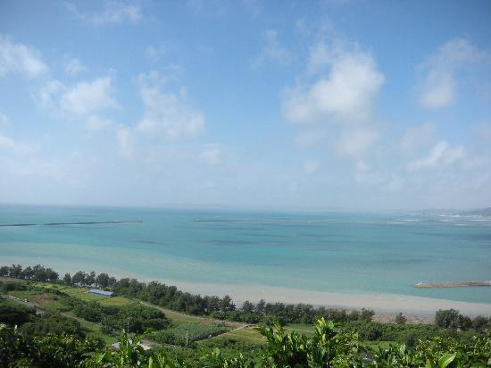 トリップアドバイザー提供