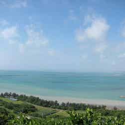 トリップアドバイザー提供